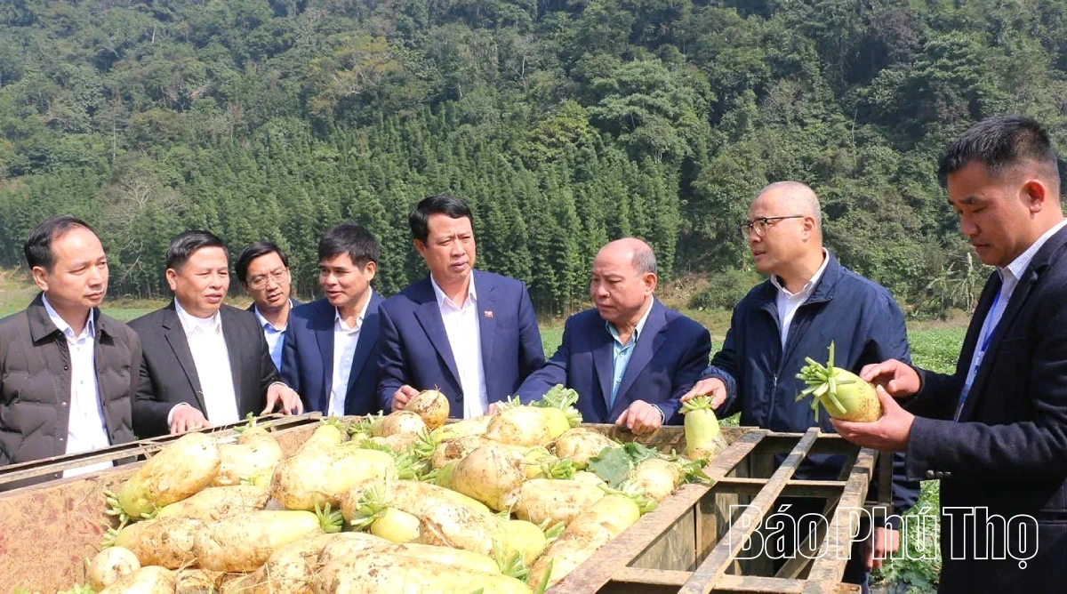 Mọi quyết sách đều hướng đến lợi ích chung của người dân Đất Tổ