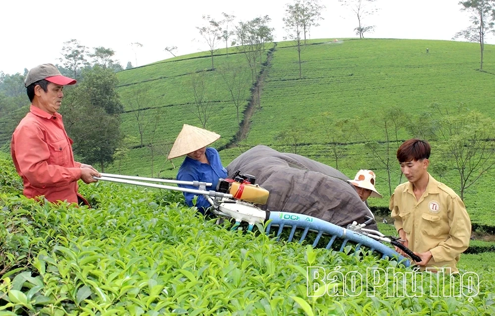 Leading the Rhythm to Take Agricultural Products to the 