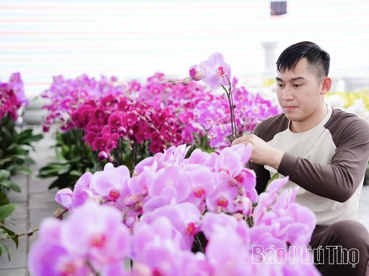 A Bustling Market for Tet Flowers