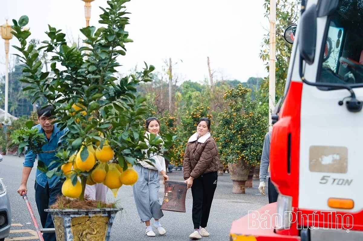 A Bustling Market for Tet Flowers
