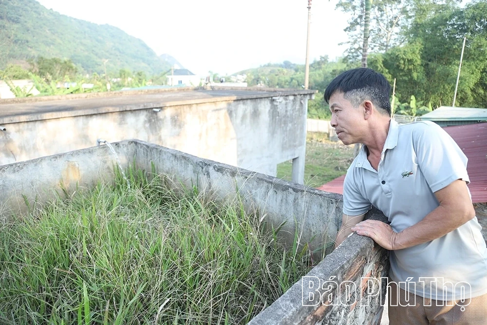 Cấp thiết xây dựng các công trình nước sạch tại xã Dũng Tiến