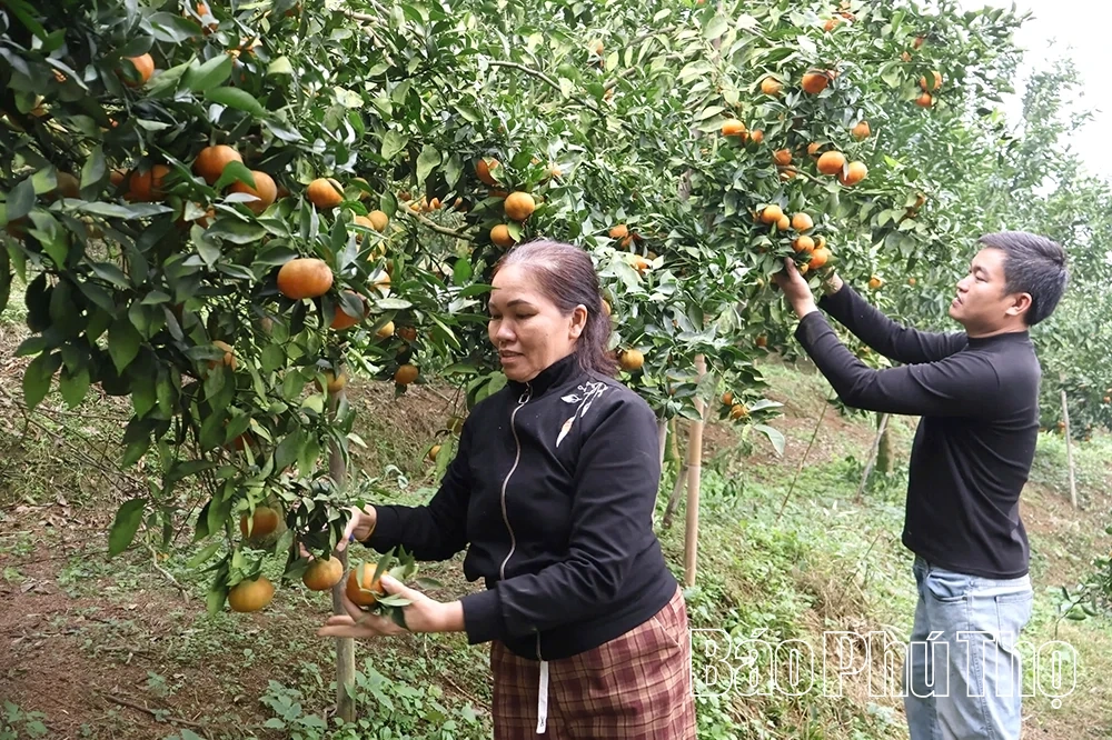 Lai Đồng phát triển nông nghiệp hàng hóa gắn với du lịch cộng đồng