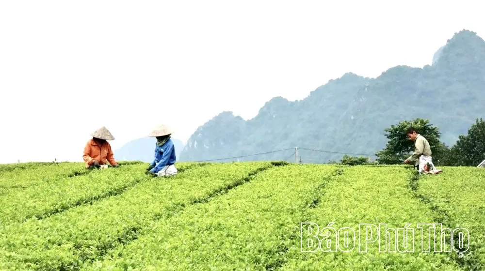 Diện mạo nông thôn mới xã An Nghĩa