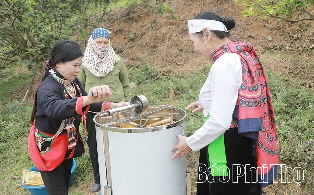 Xuân về trên bản Dao Thống Nhất