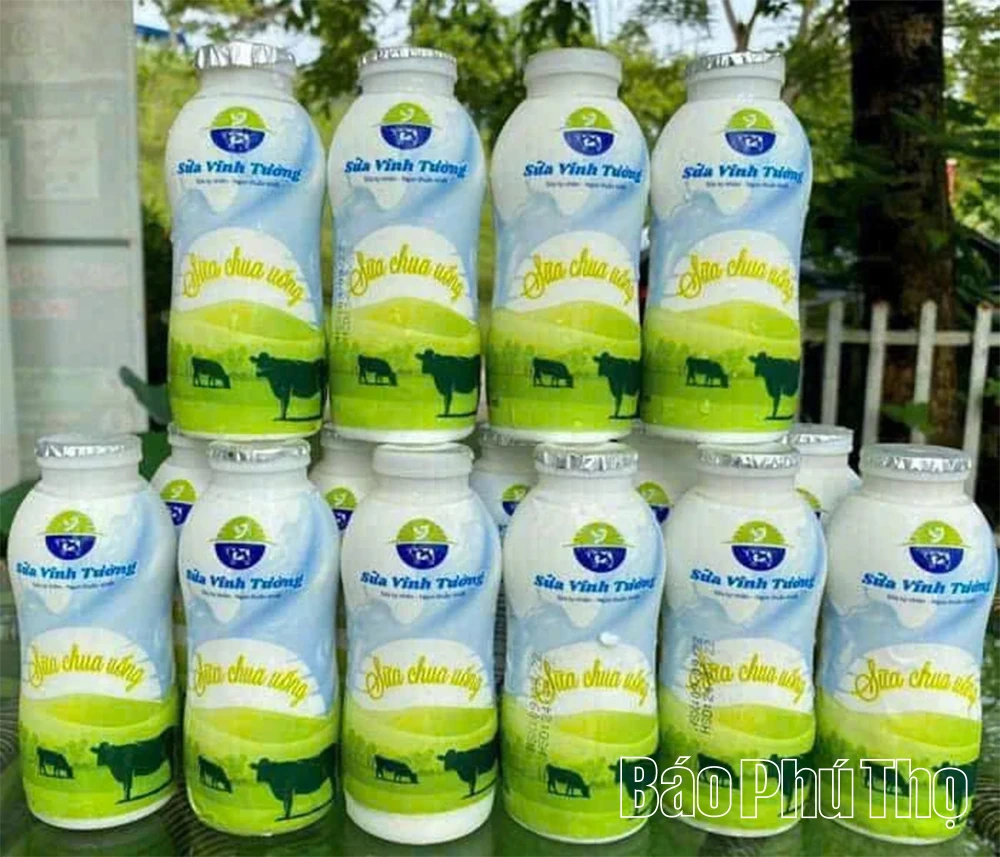 Người nông dân tiên phong sản xuất sữa theo tiêu chuẩn Châu Âu