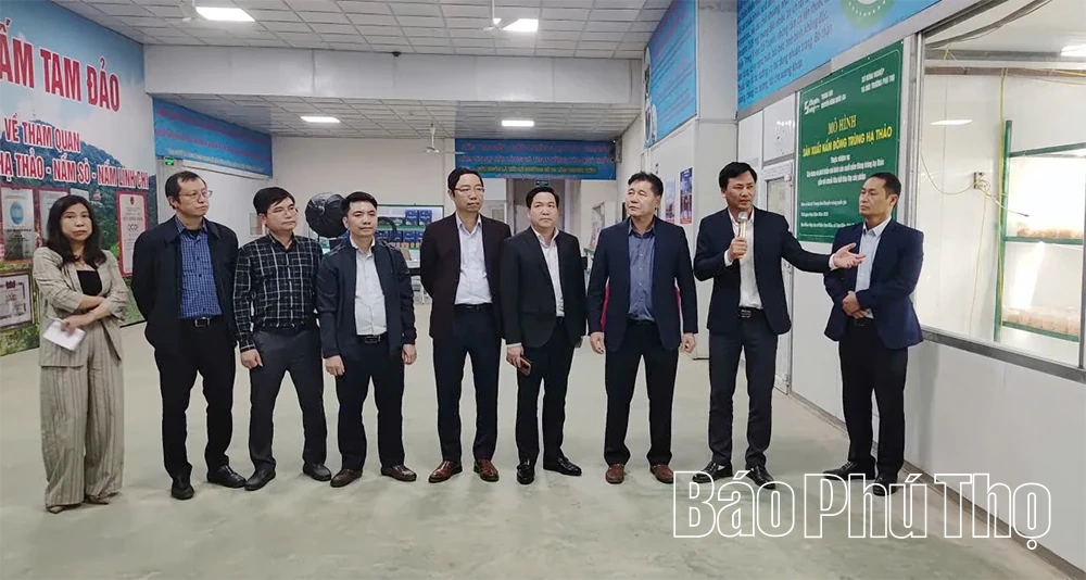 Đánh giá hiệu quả mô hình sản xuất nấm Đông trùng hạ thảo gắn với chuỗi liên kết tiêu thụ