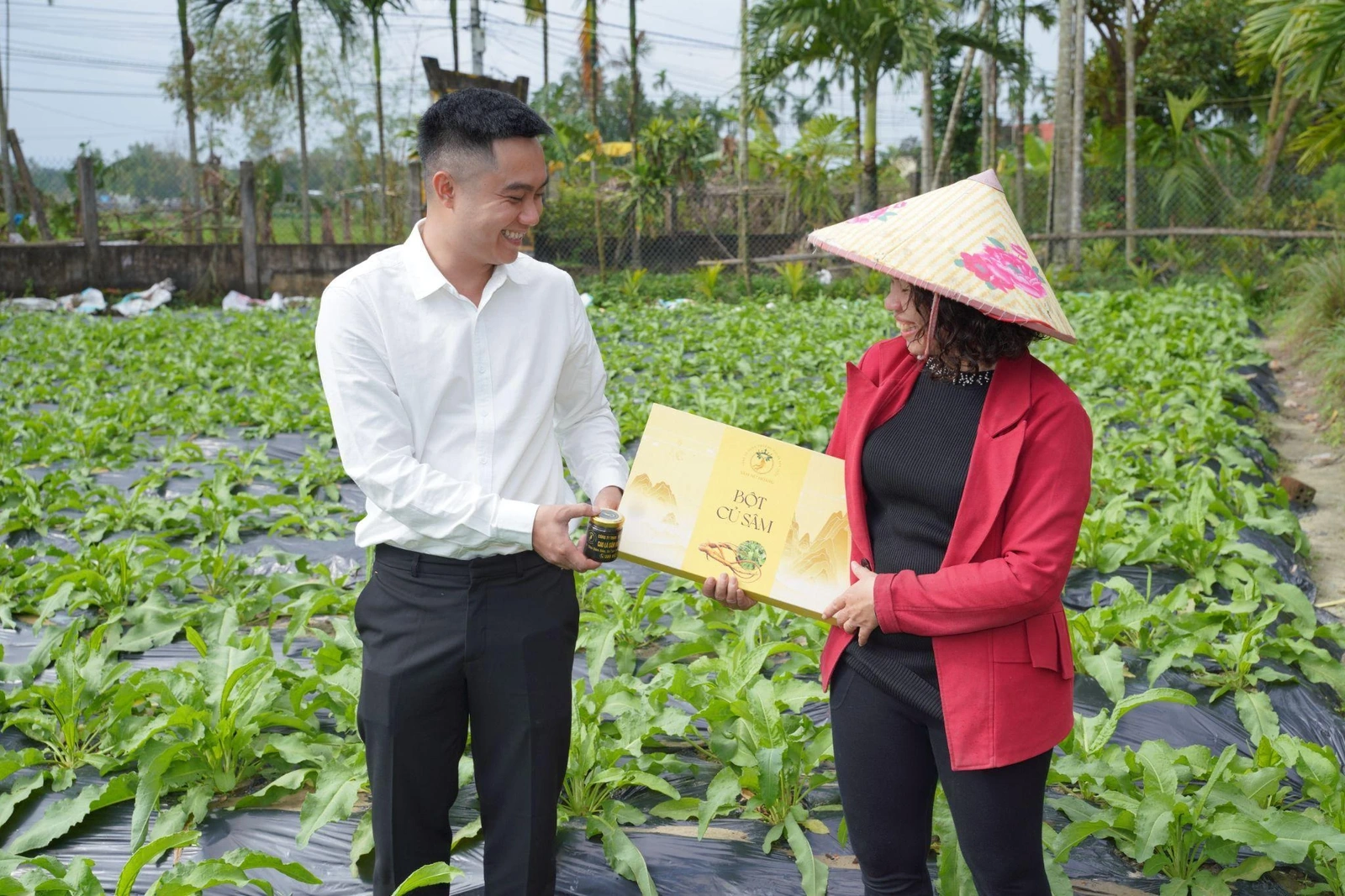 PHÁT TRIỂN BỀN VỮNG HỆ SINH THÁI SÂM NỮ HOÀNG: Chiến lược liên kết nông dân - doanh nghiệp - thị trường