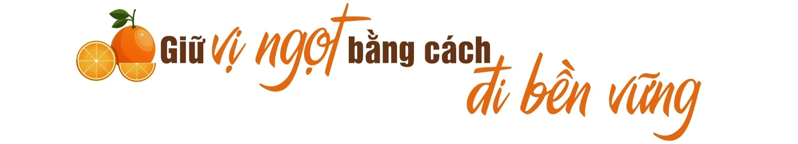 Vị ngọt vùng đất gió