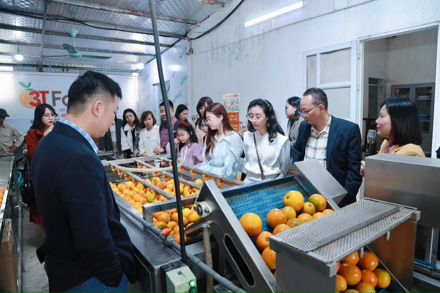 Vị ngọt vùng đất gió