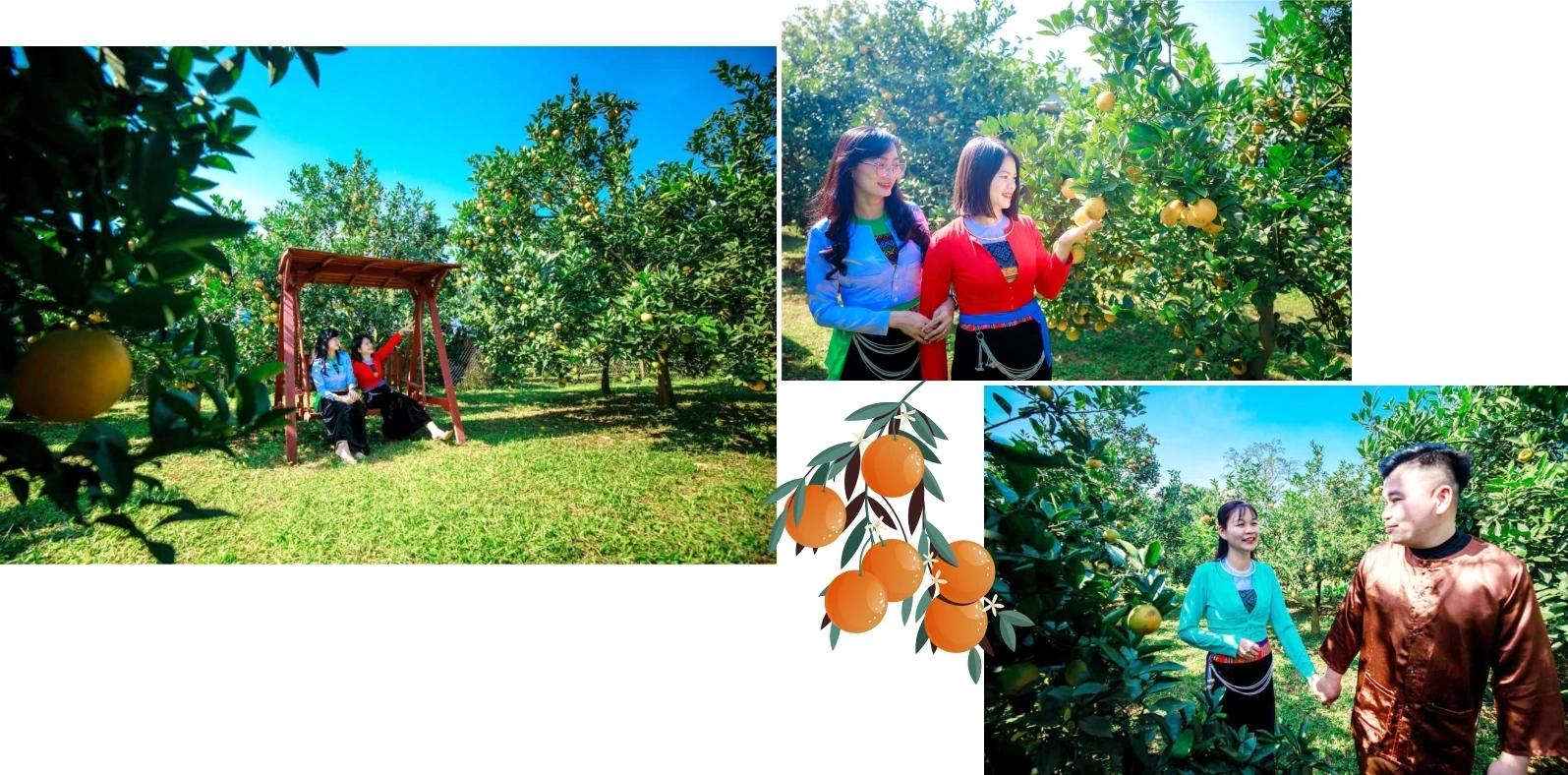 Vị ngọt vùng đất gió