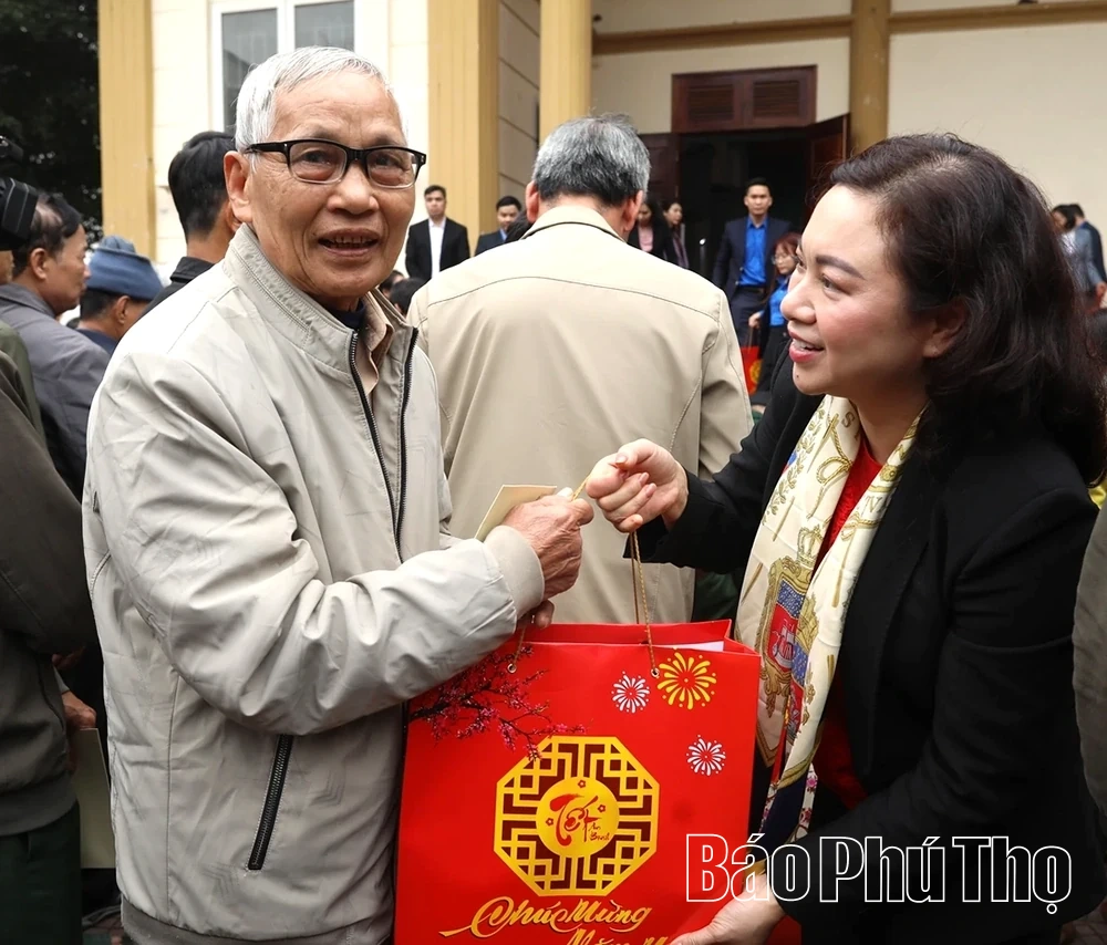 Đoàn đại biểu Quốc hội tỉnh thăm, tặng 1.705 suất quà Tết