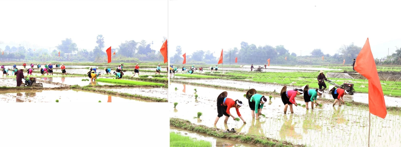 Độc đáo Lễ hội Khai hạ dân tộc Mường