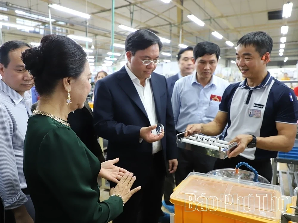 Provincial Chairman Tran Duy Dong Visits and Extends New Year Greetings to Businesses