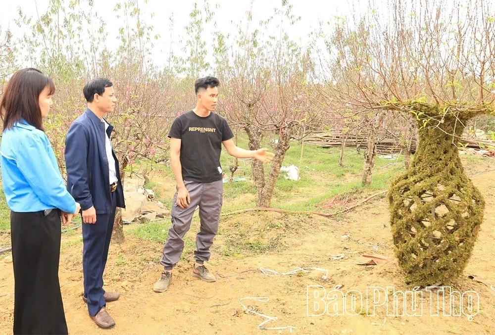Unique Vase-Shaped Peach Blossoms for Tet