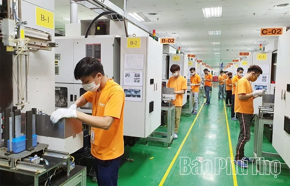 Industry Paves the Way for Development Aspirations