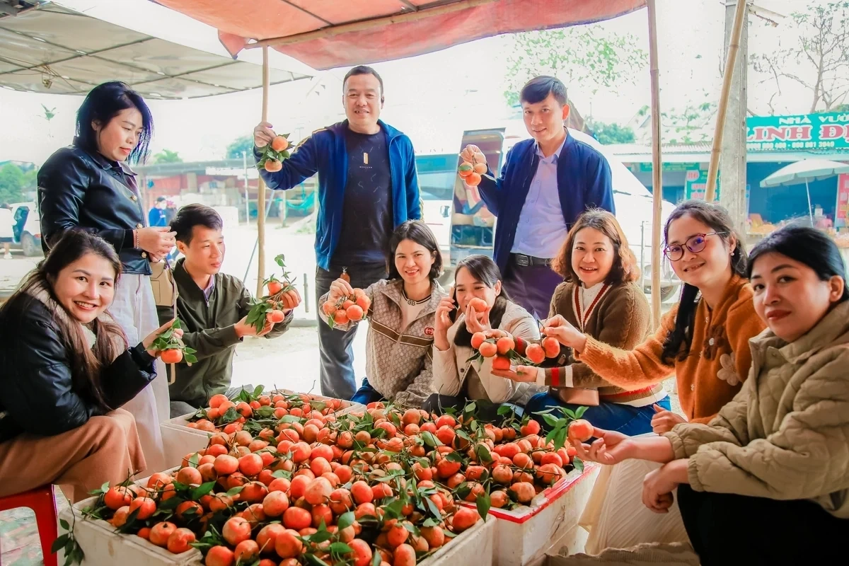 Bam Market – A Springtime Destination for Agricultural Specialties