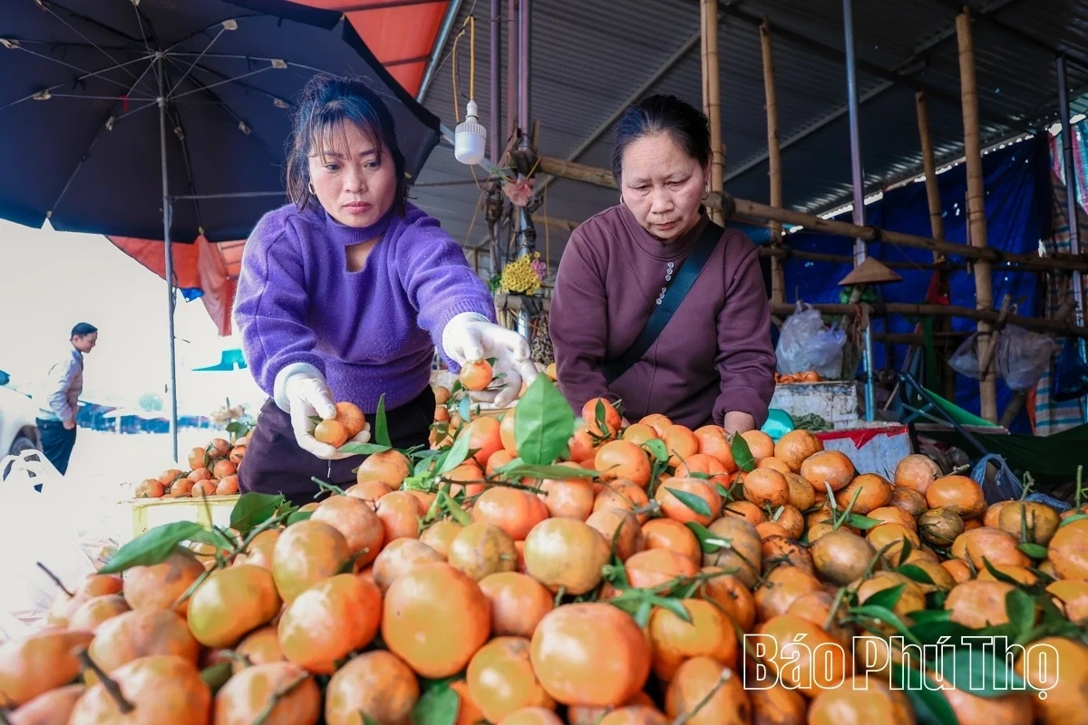 Bam Market – A Springtime Destination for Agricultural Specialties