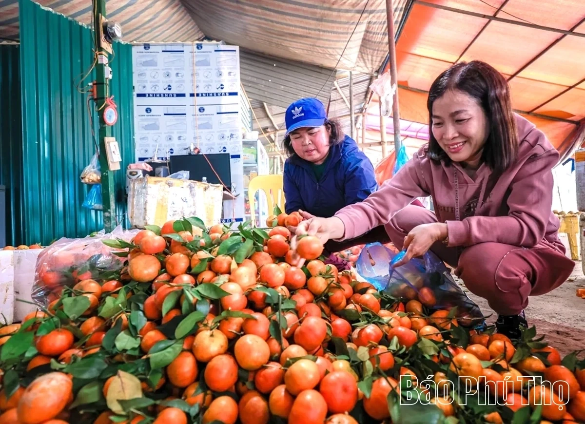 Bam Market – A Springtime Destination for Agricultural Specialties