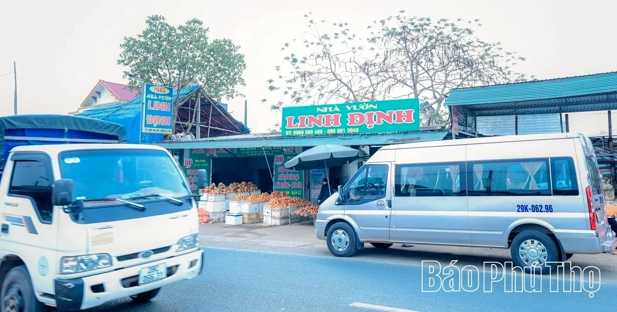 Bam Market – A Springtime Destination for Agricultural Specialties