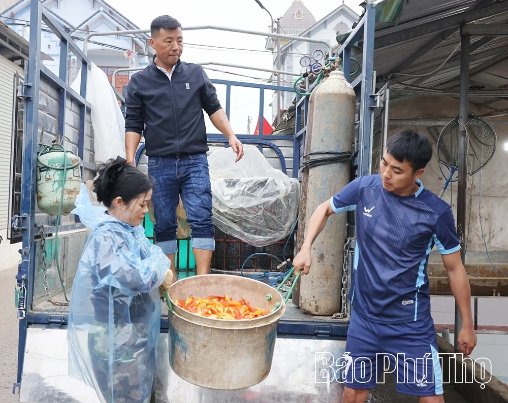 Sắm “xế đỏ” tiễn táo quân