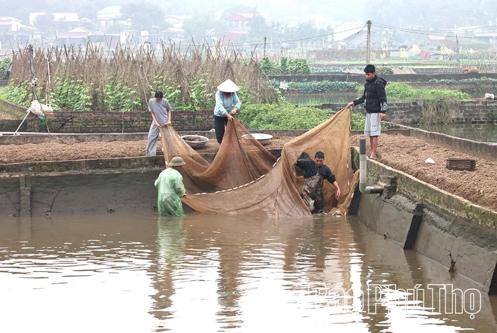 Sắm “xế đỏ” tiễn táo quân
