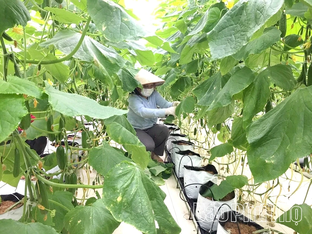 Tăng trưởng xanh - nền tảng cho phát triển bền vững