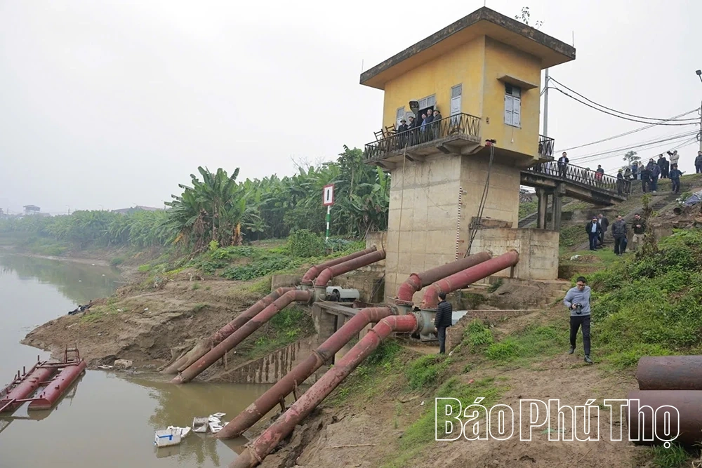 Kiểm tra công tác lấy nước đợt 2 phục vụ gieo cấy lúa vụ Đông Xuân 2025-2026
