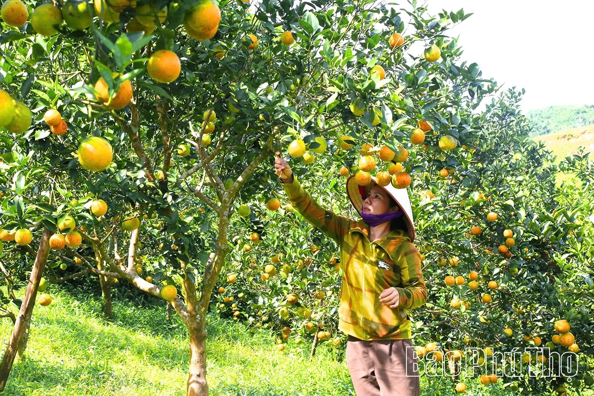 Chuyển mình đón kỷ nguyên mới