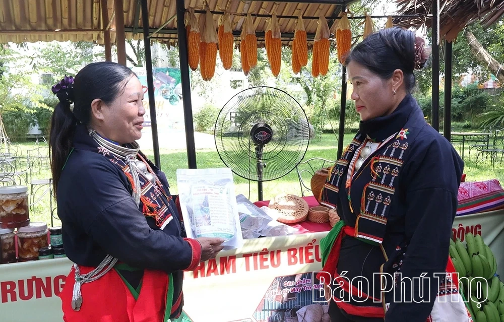Chung tay “Vì người nghèo - không để ai bị bỏ lại phía sau”