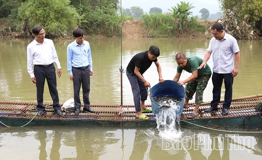 Khuyến nông - đòn bẩy giúp nông dân phát triển sản xuất
