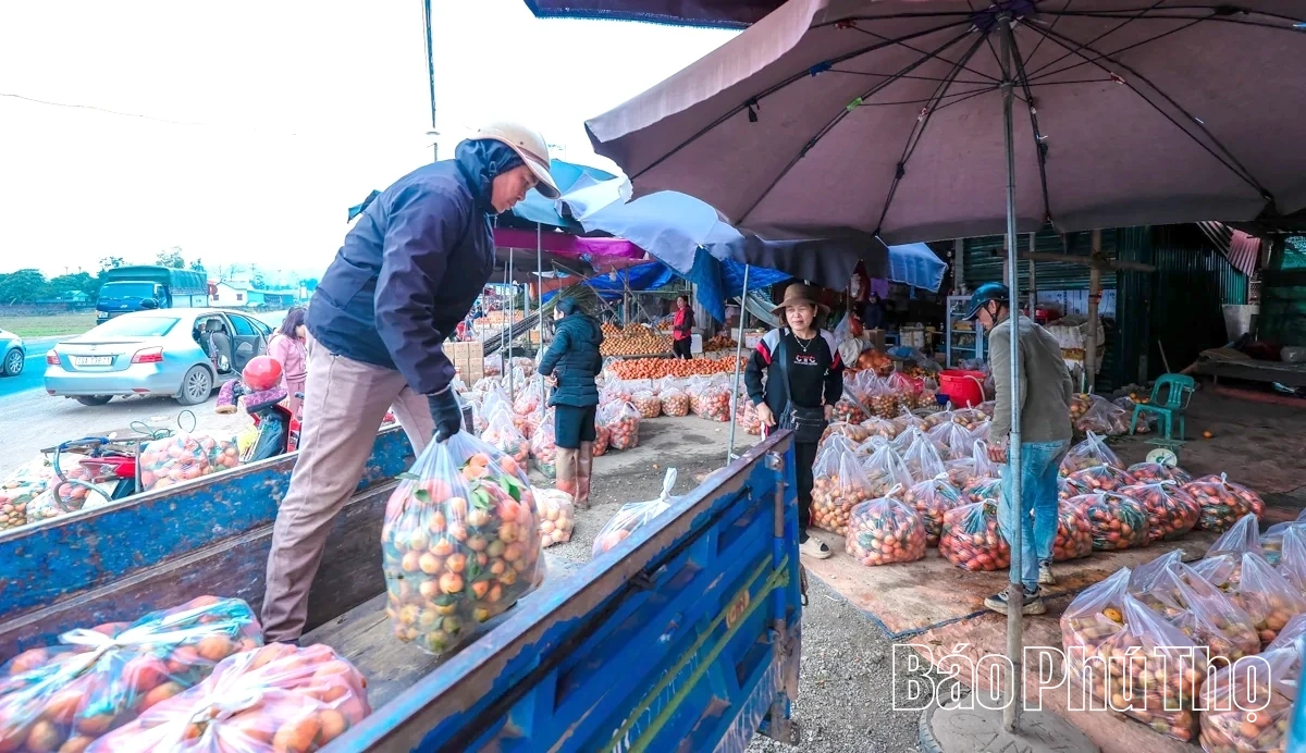 Chợ Bảm - điểm hẹn nông sản ngày Xuân