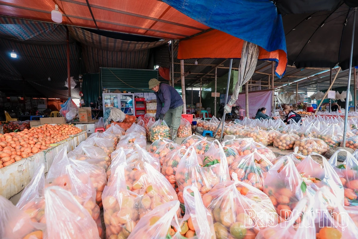 Chợ Bảm - điểm hẹn nông sản ngày Xuân