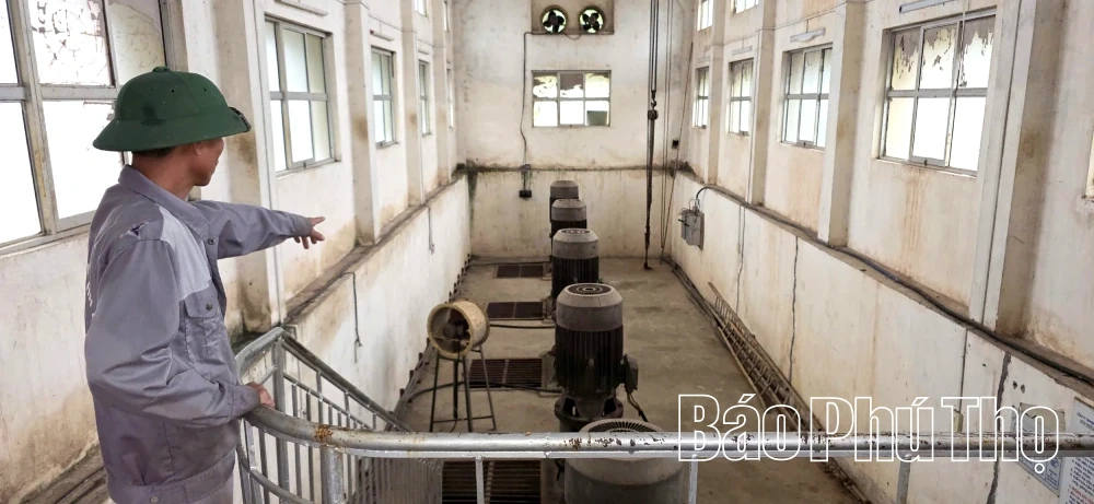 Chủ động nước tươi, thắng lợi vụ Đông