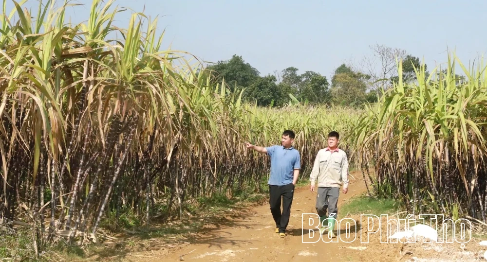 Đầm Băng - Khu dân cư tiêu biểu