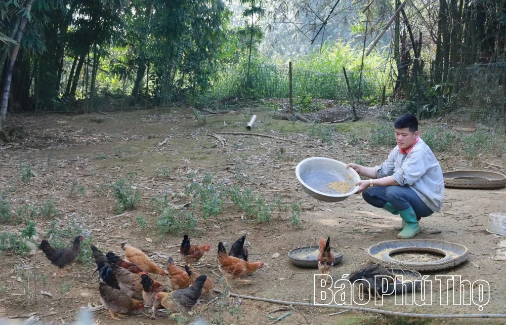 Đầm Băng - Khu dân cư tiêu biểu