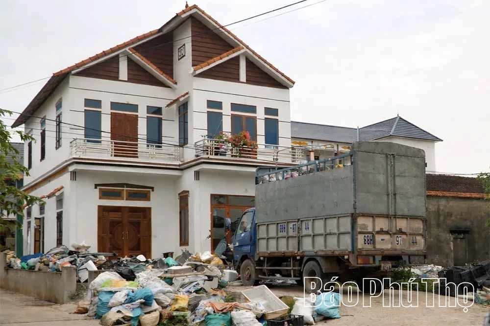 Năng động Tam Hồng