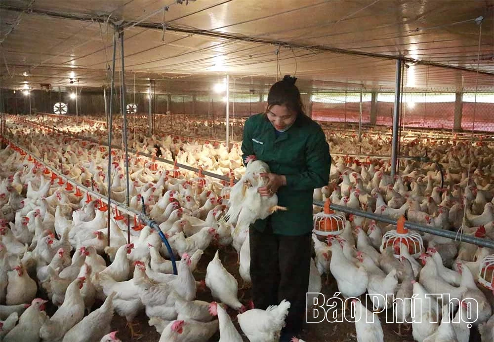 Lập Thạch đẩy mạnh phong trào thi đua yêu nước