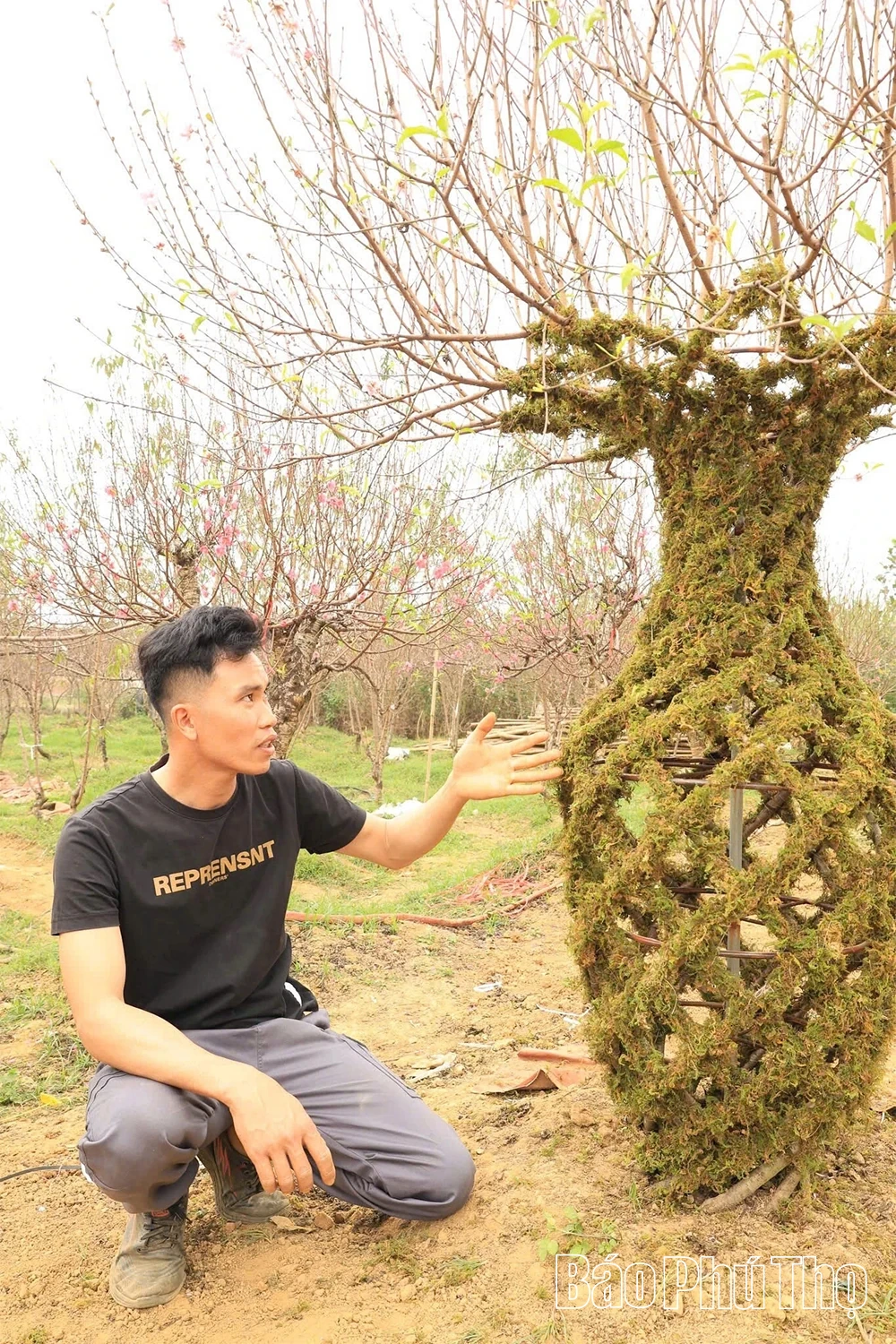 Độc đáo đào thế hình lục bình