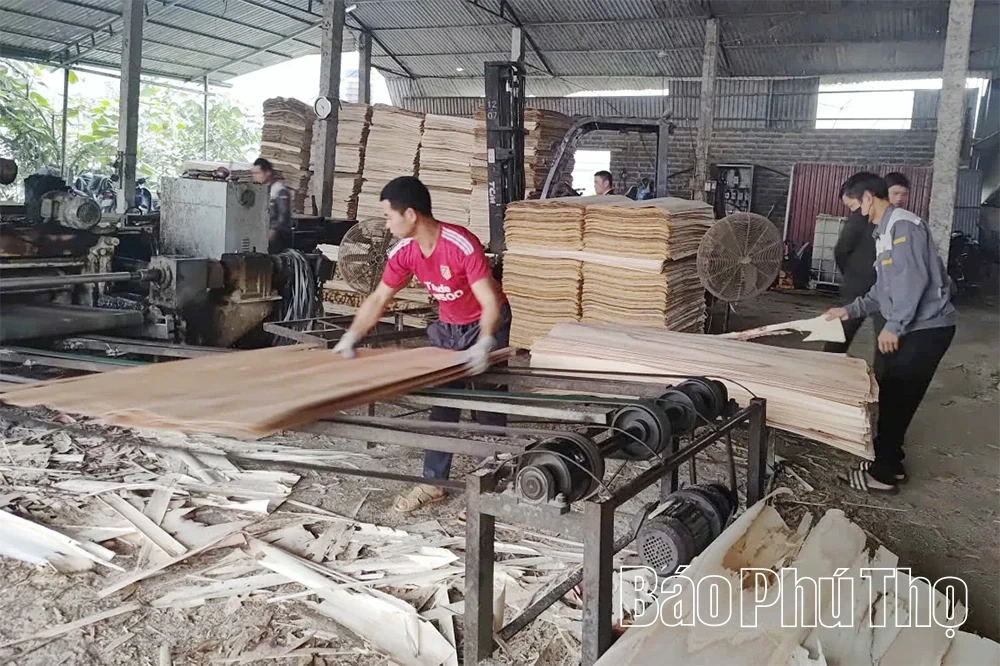 Từ thợ xây dựng đến chủ doanh nghiệp ván bóc