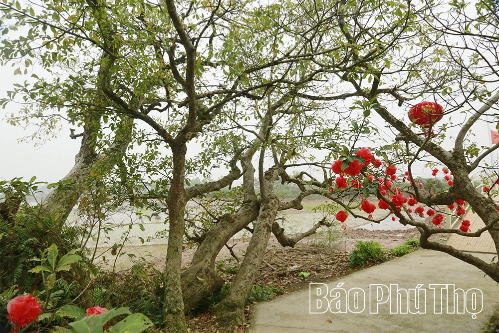 Kho báu đồng Láng Chương