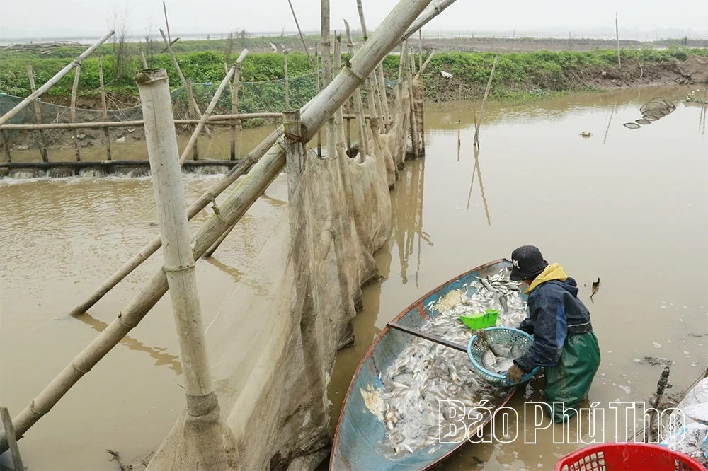 Kho báu đồng Láng Chương