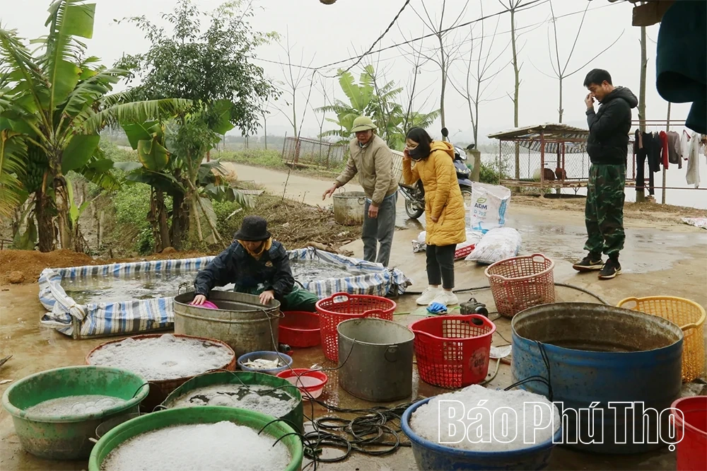Kho báu đồng Láng Chương