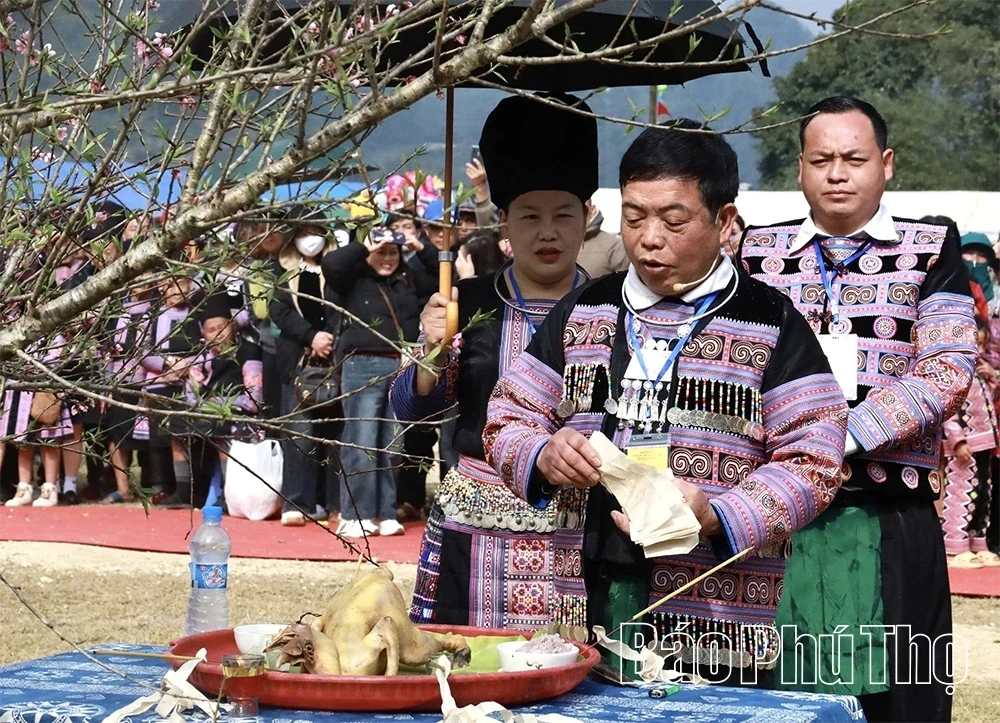 Discovering the Mountain Excursion Festival