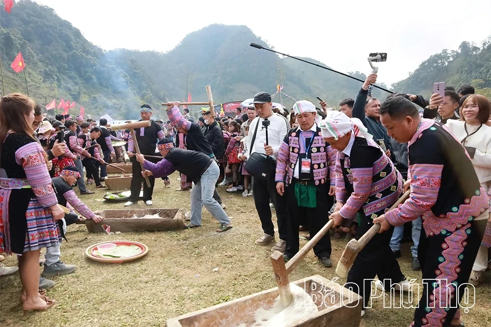 Discovering the Mountain Excursion Festival