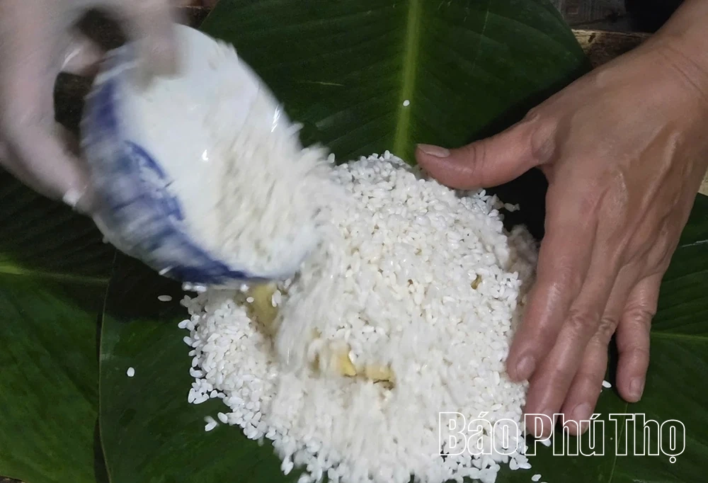 Xanh mướt hồn quê trong chiếc bánh chưng ngày Tết