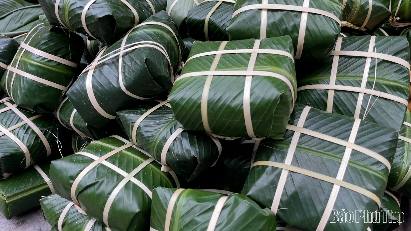 Xanh mướt hồn quê trong chiếc bánh chưng ngày Tết