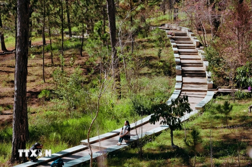 Lâm Đồng: Thăm giảng đường “đẹp không góc chết” ngay lòng Đà Lạt