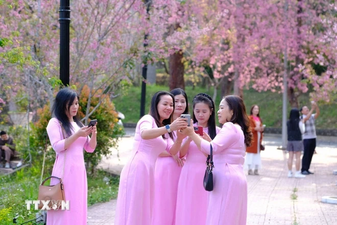 Lâm Đồng: Thăm giảng đường “đẹp không góc chết” ngay lòng Đà Lạt