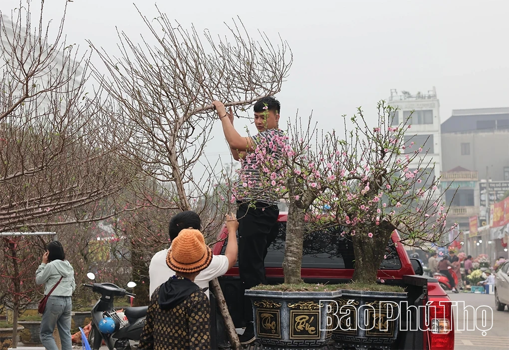 Sắc màu phiên chợ Tết