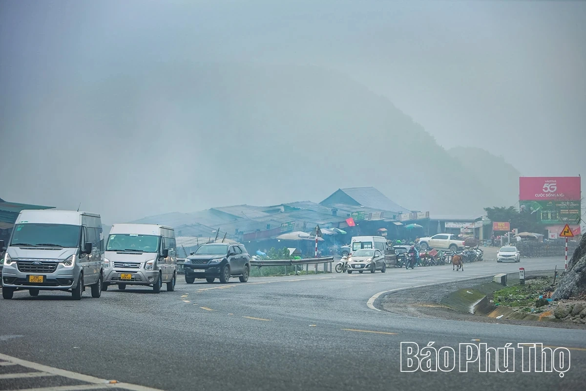 Sắc Xuân trên đèo Đá Trắng